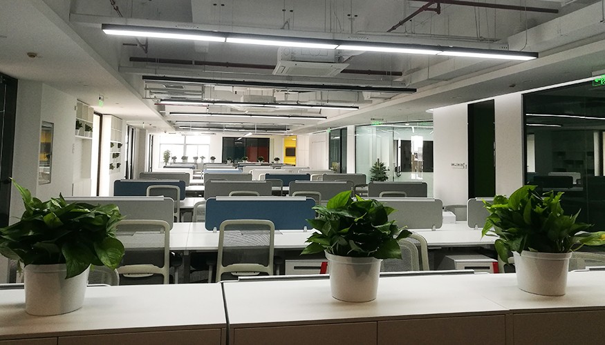 徐匯漕河涇2500平德馬物流開放式員工辦公室裝修竣工照 徐匯漕河涇2500平德馬物流開放式員工辦公室裝修竣工照