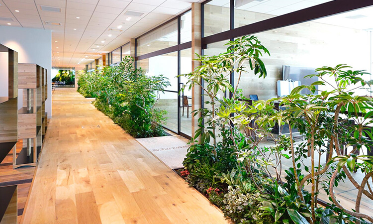 辦公室綠色景觀裝修理念 辦公室綠色景觀裝修理念