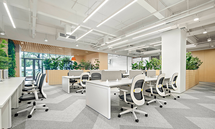 員工辦公區(qū)綠植景觀設計 員工辦公區(qū)綠植景觀設計