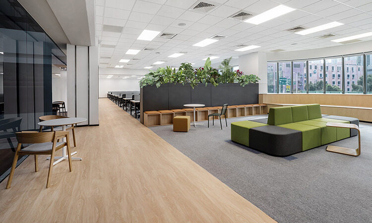 廣告公司員工辦公區創意綠化 廣告公司員工辦公區創意綠化